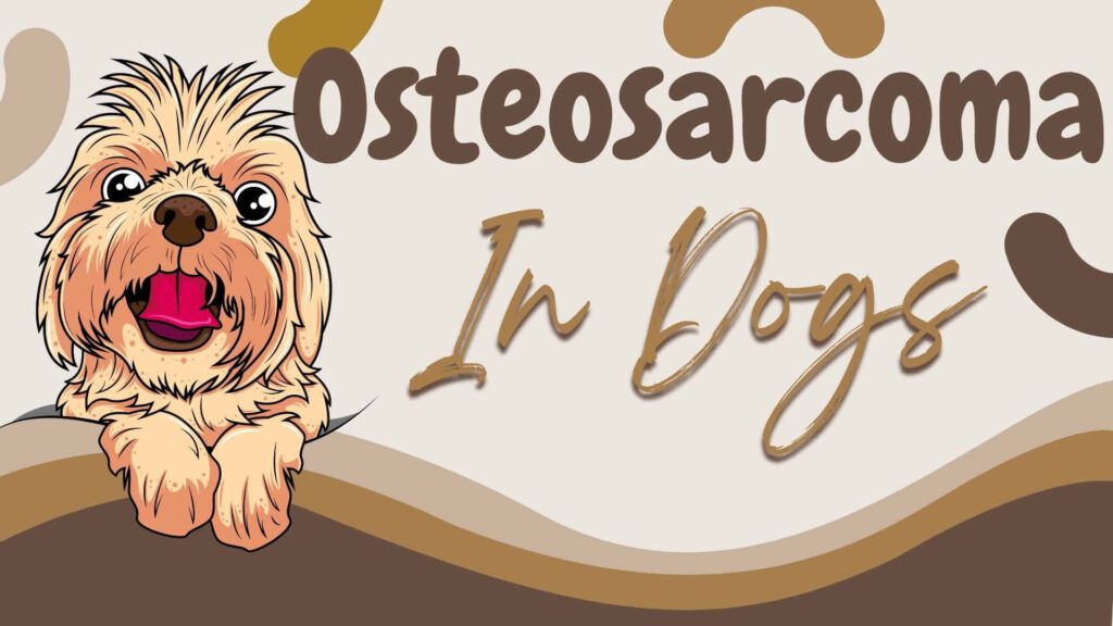 Osteosarcoma in Dogs