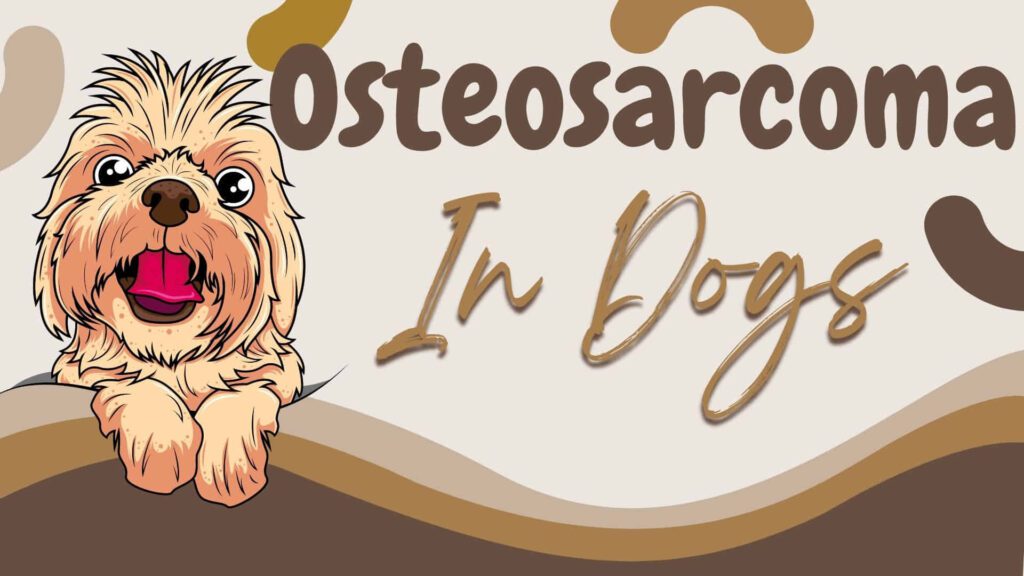 osteosarcoma-in-dogs-stages-survival-and-when-to-euthanize-a-dog